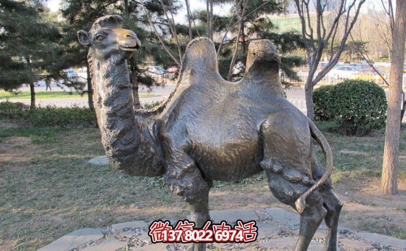 創(chuàng)意大型玻璃鋼駱駝雕塑，在草地上擺放，一眼回頭